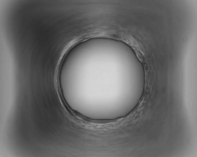X0000112750003200908201023