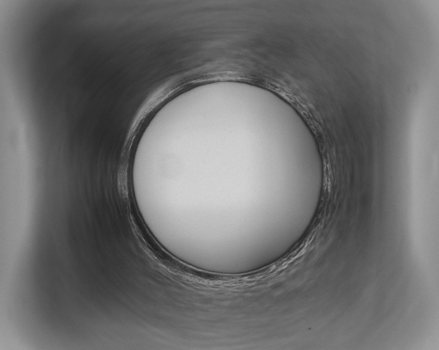 X0000112750004200908201022