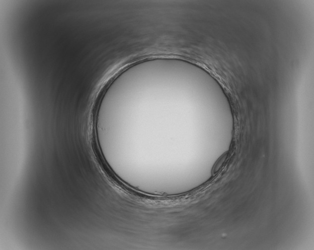 X0000112750005200908201022