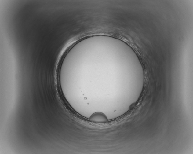 X0000112750006200908201022