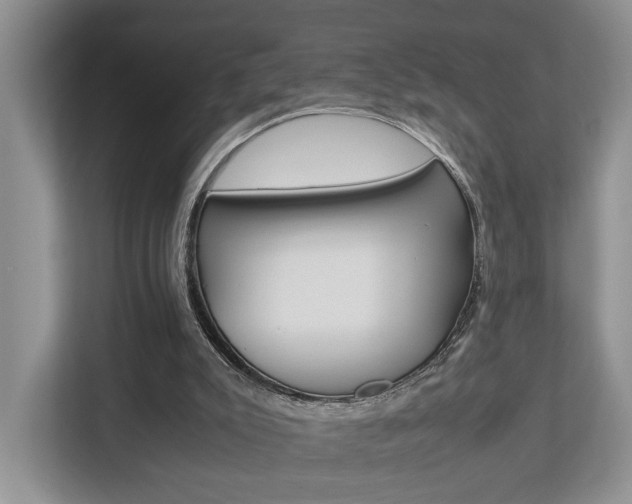 X0000112750007200908201022