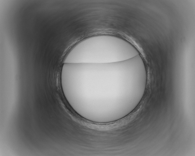 X0000112750010200908201022