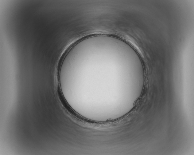 X0000112750011200908201022