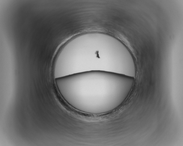 X0000112750012200908201022