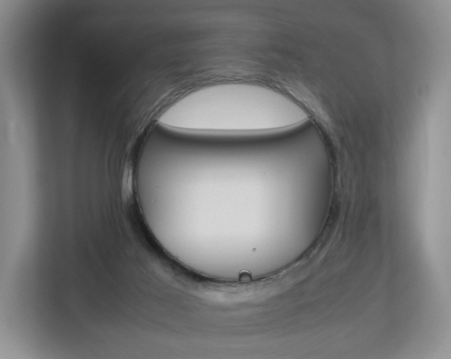 X0000112750021200908201022