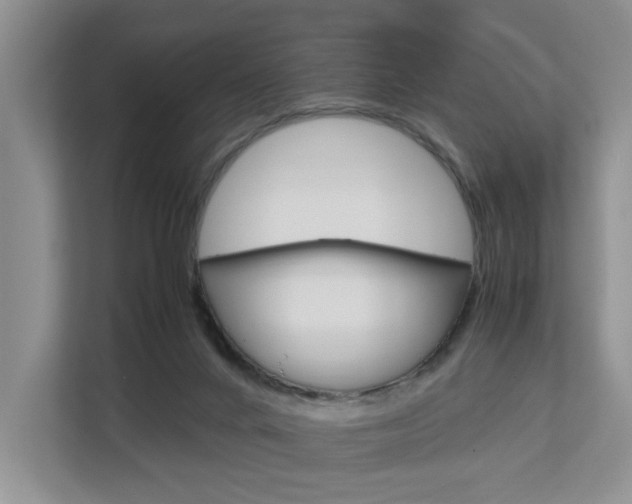 X0000112750024200908201022