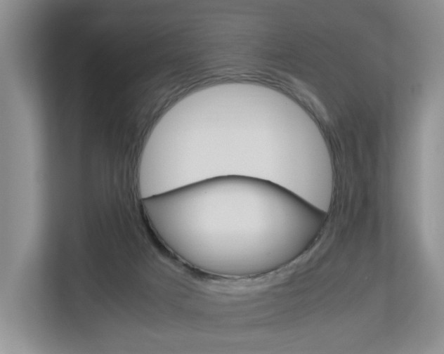 X0000112750025200908201022