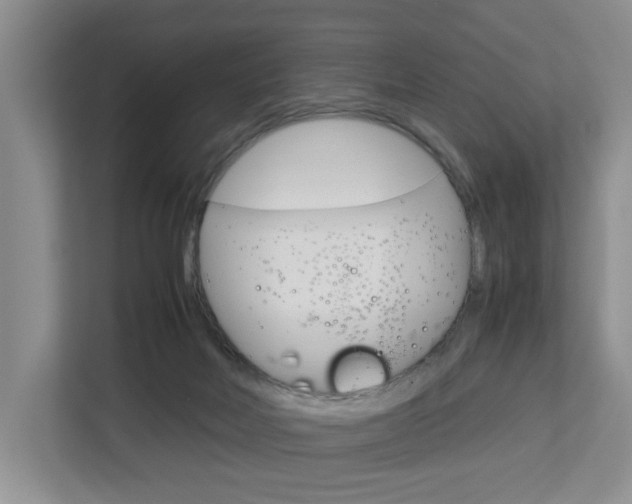 X0000112750026200908201022