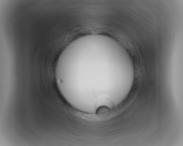 X0000112750030200908201022