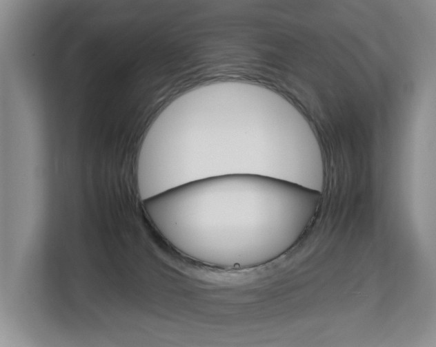 X0000112750036200908201022