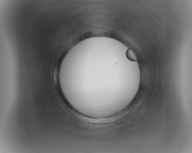 X0000112750038200908201022