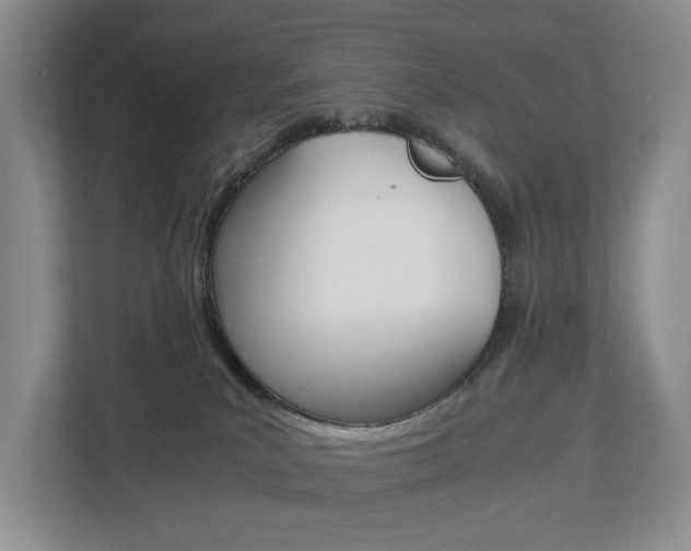 X0000112750039200908201022