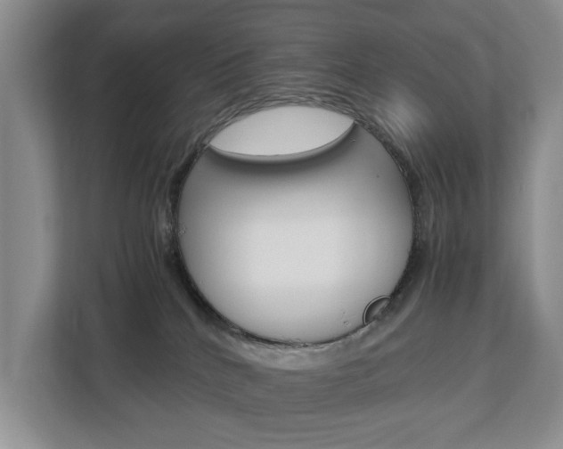 X0000112750040200908201022