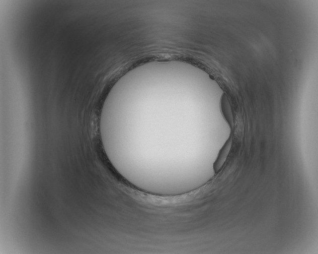 X0000112750043200908201022