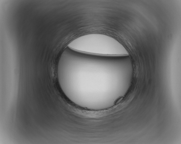 X0000112750044200908201022