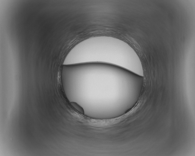 X0000112750045200908201022