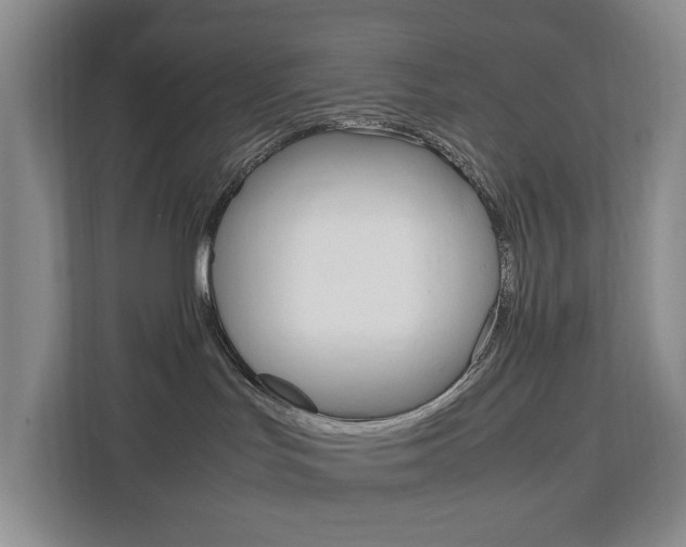 X0000112750047200908201022