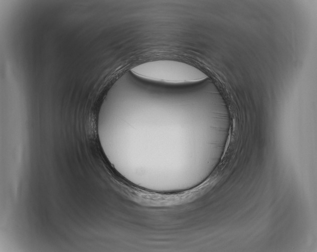 X0000112750048200908201022