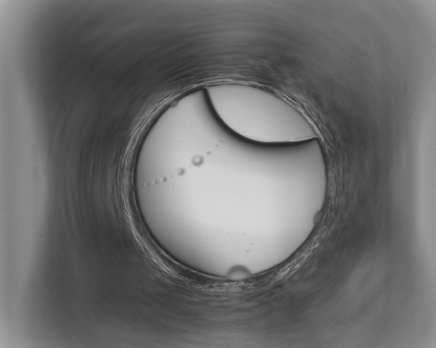 X0000112750049200908201021