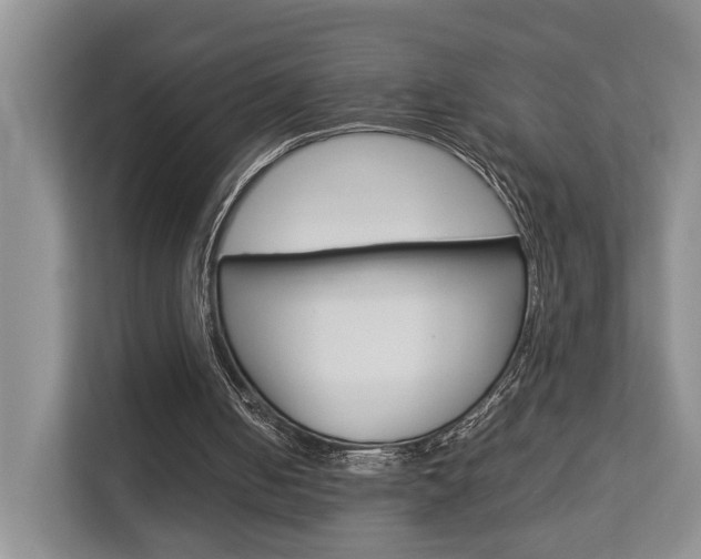 X0000112750050200908201021
