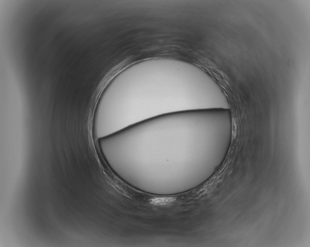 X0000112750051200908201021