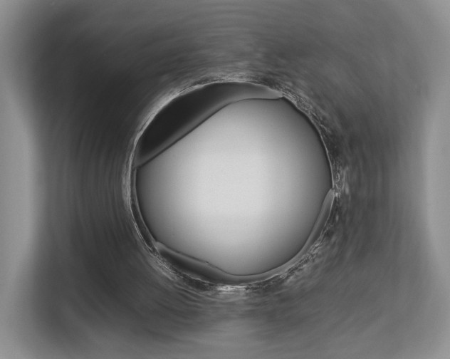 X0000112750052200908201021
