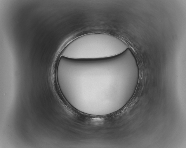 X0000112750053200908201021