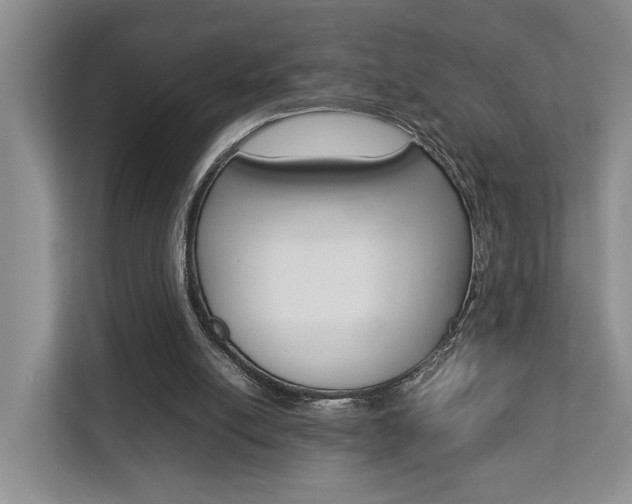 X0000112750054200908201021