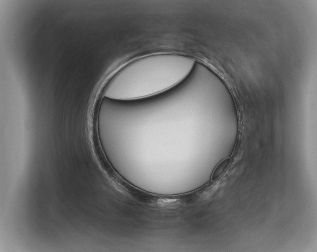 X0000112750055200908201021