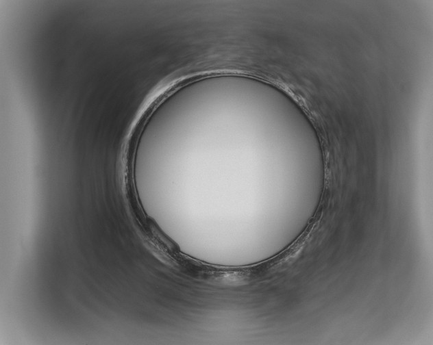 X0000112750056200908201021