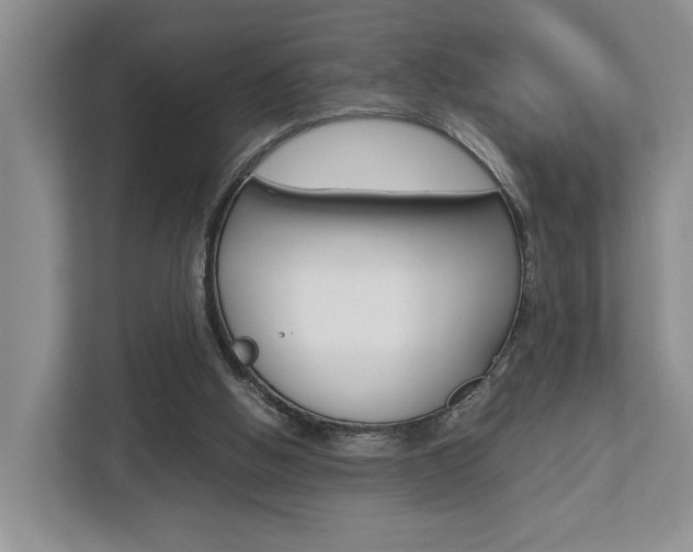 X0000112750058200908201021