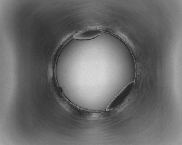 X0000112750060200908201021