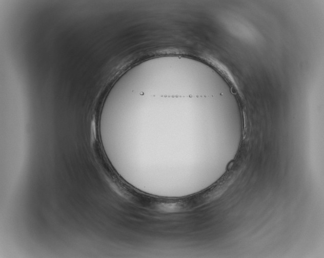 X0000112750061200908201021