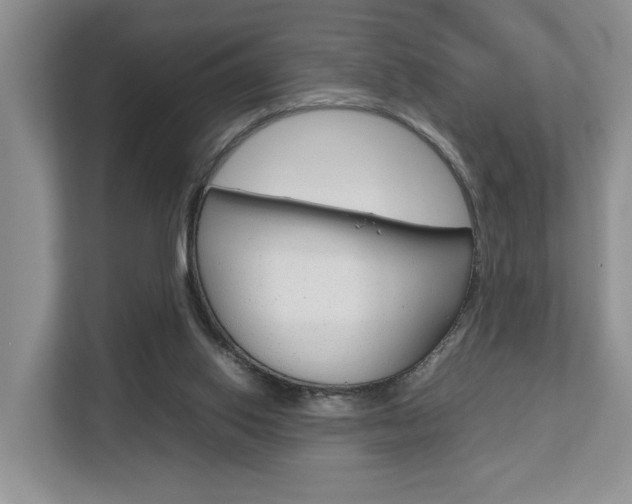 X0000112750062200908201021