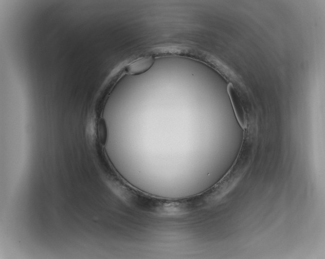 X0000112750064200908201021
