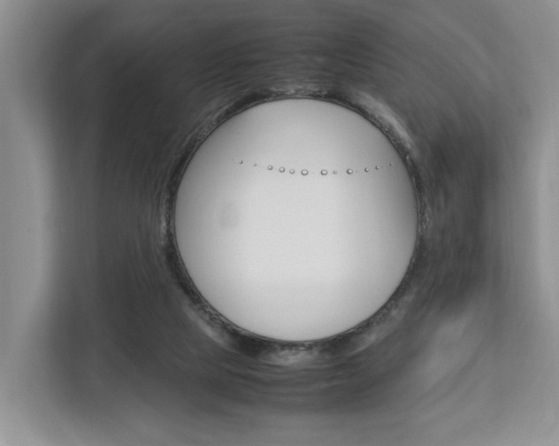 X0000112750065200908201021