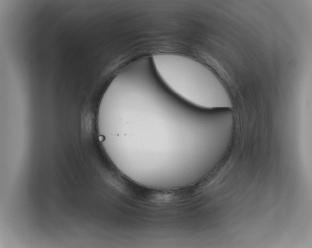 X0000112750071200908201022