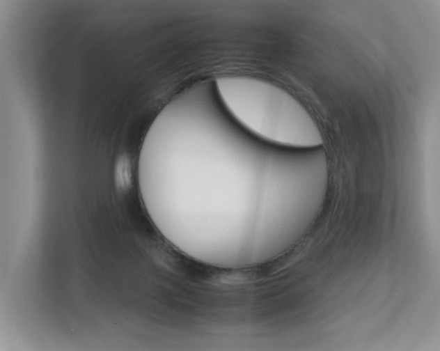 X0000112750075200908201022