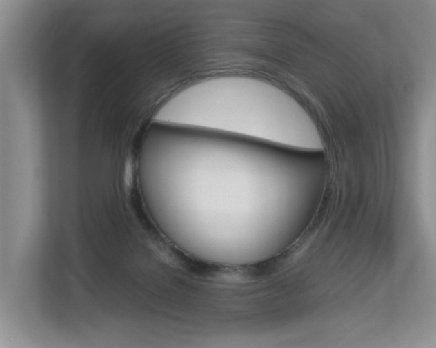 X0000112750076200908201022