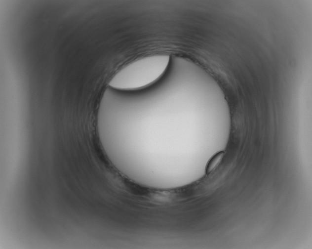 X0000112750079200908201022