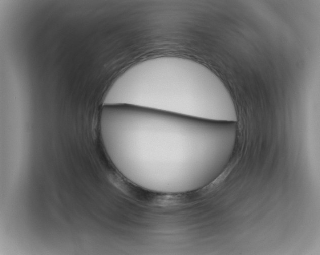 X0000112750082200908201022