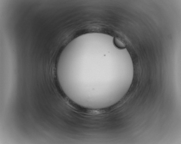 X0000112750083200908201022