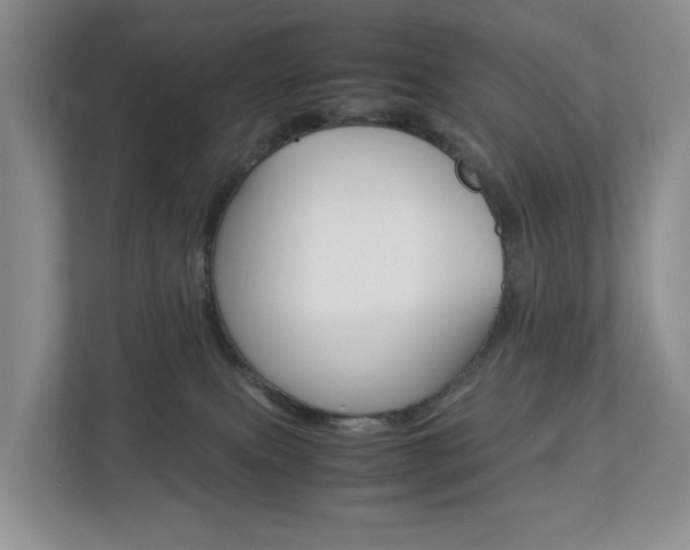 X0000112750087200908201022