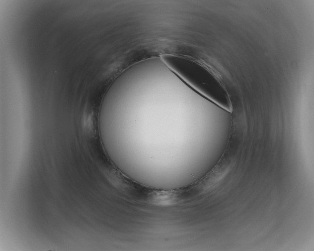X0000112750088200908201022