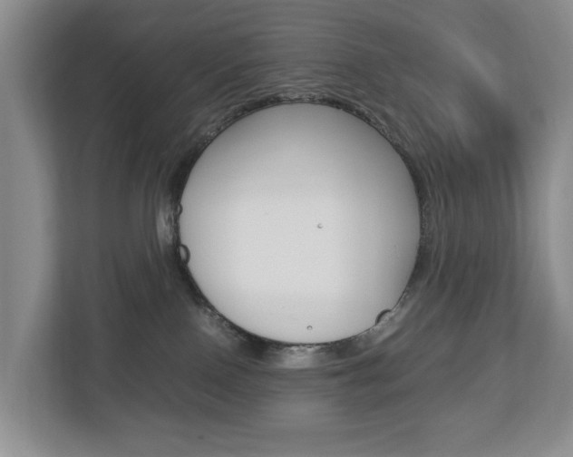 X0000112750090200908201022