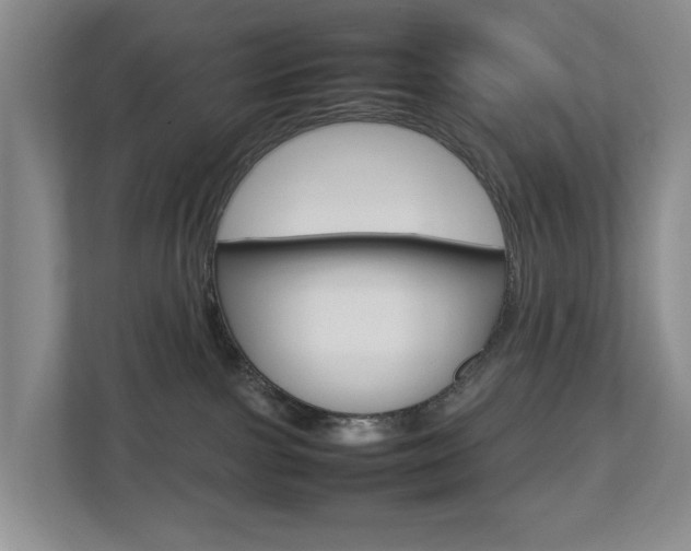 X0000112750091200908201022