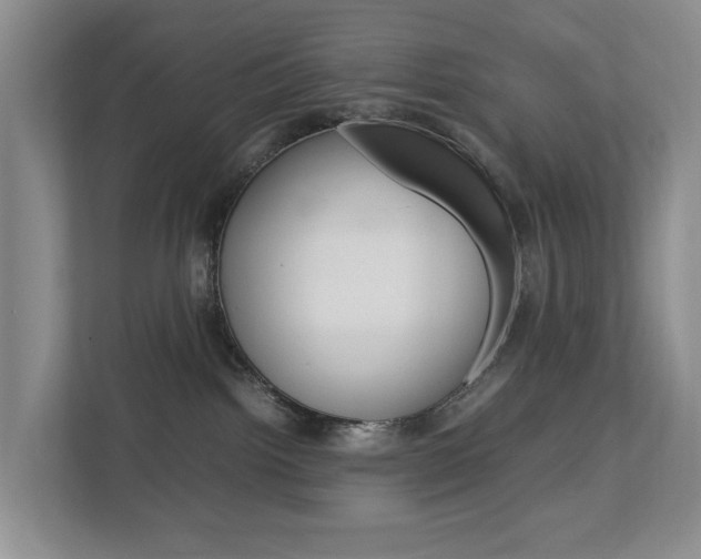 X0000112750092200908201022