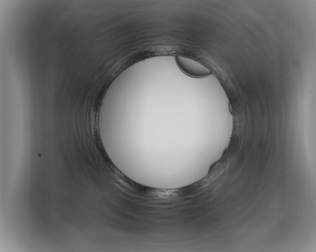 X0000112750093200908201022