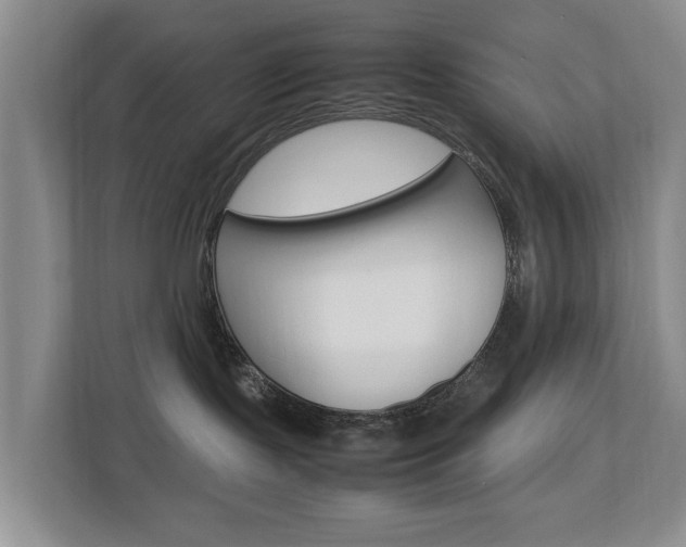 X0000112750095200908201022