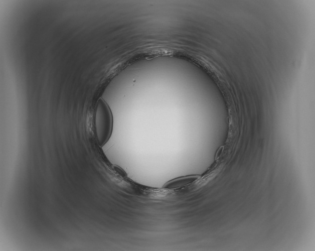 X0000112750096200908201022